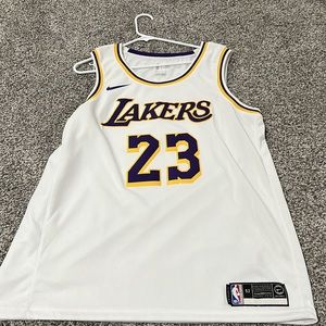 Lebron James Lakers Jersey Swimgman